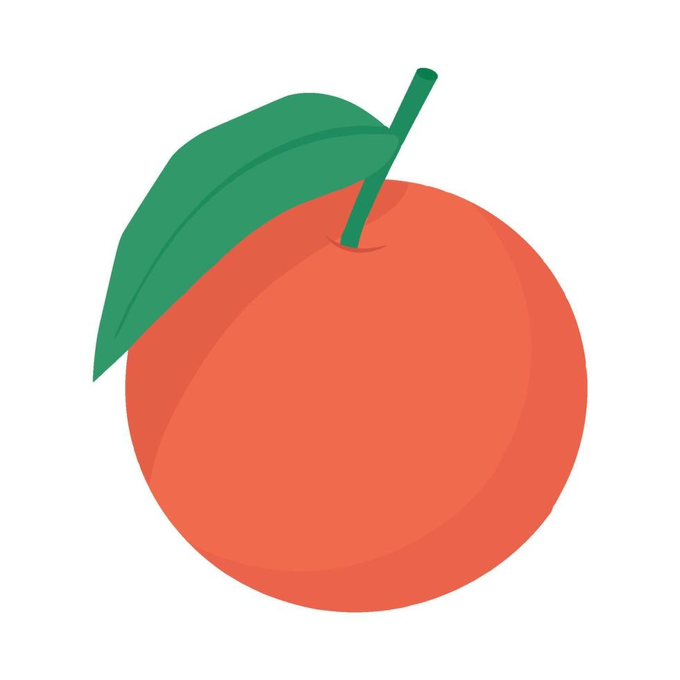 An orange with a leaf on it is shown vector