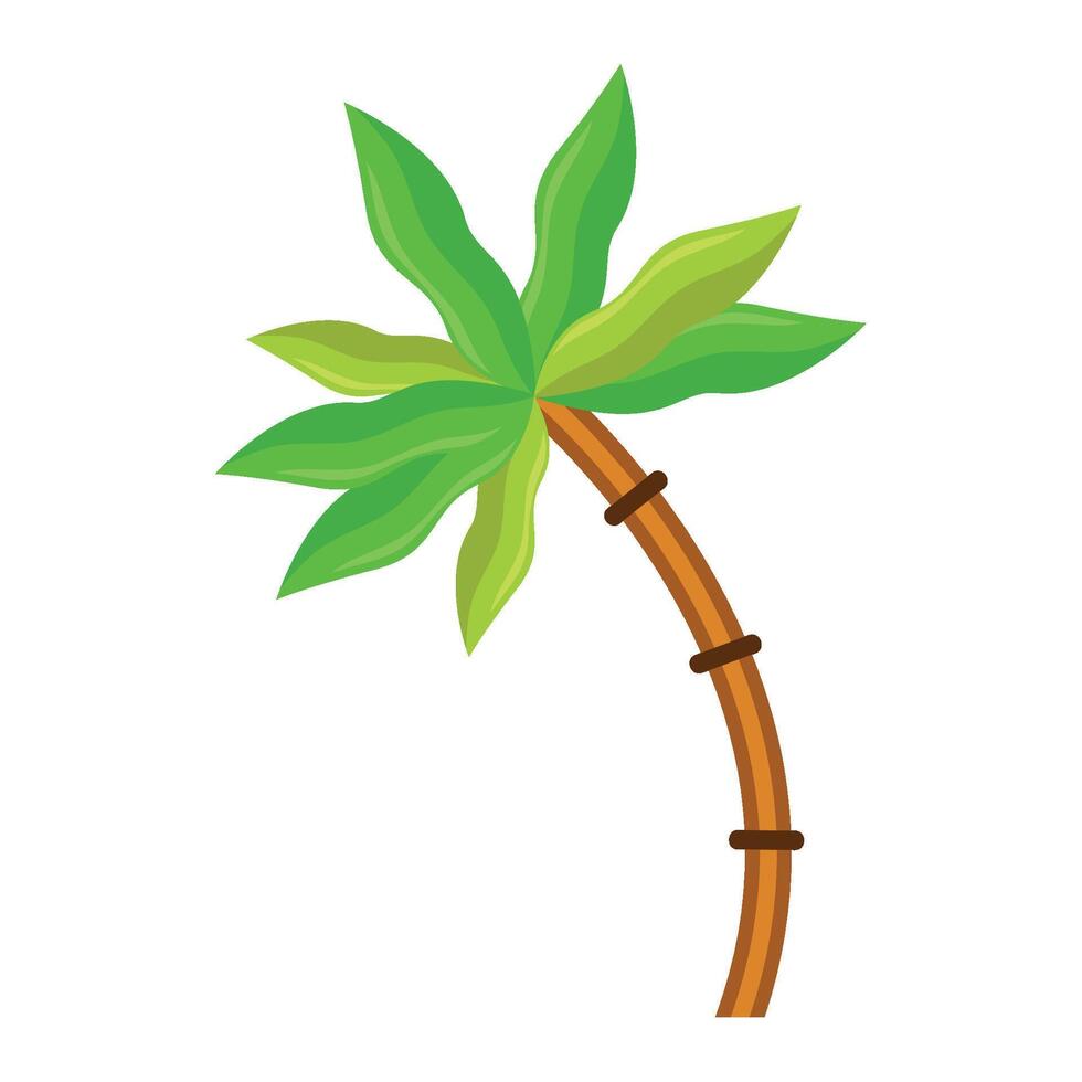 Palm tree illustration vector