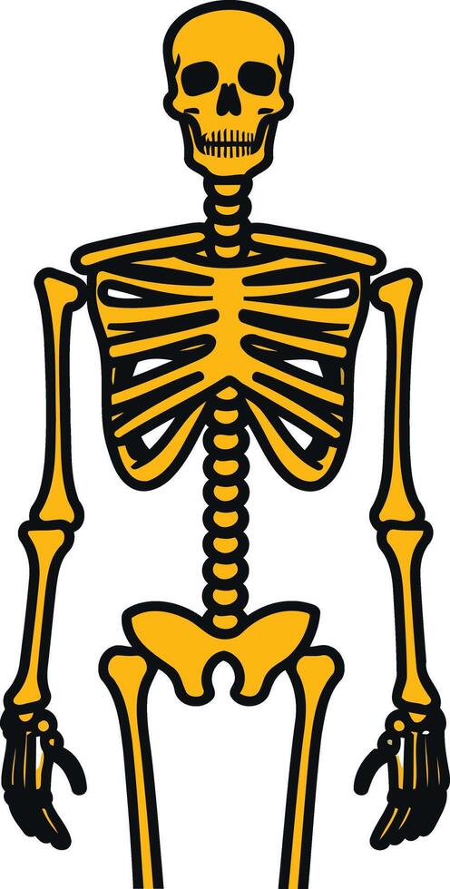 A Simple Illustration of a Yellow Skeleton vector