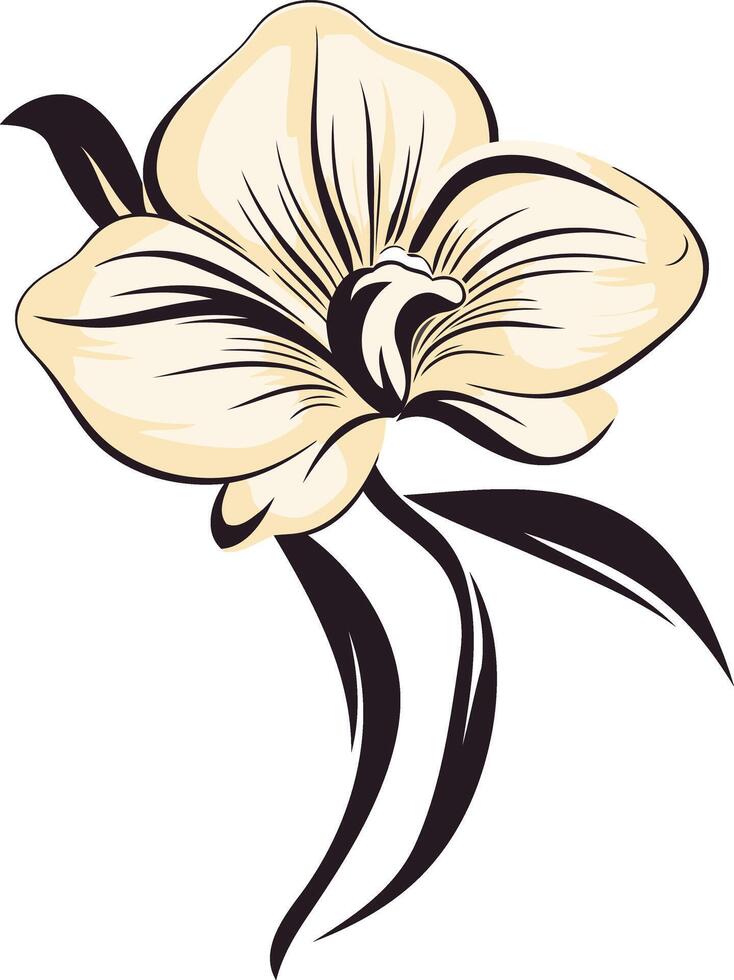 Elegant Orchid with Delicate Petals vector