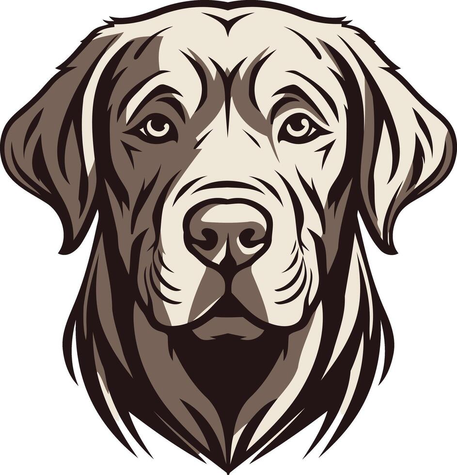 Portrait of a Labrador Retriever vector
