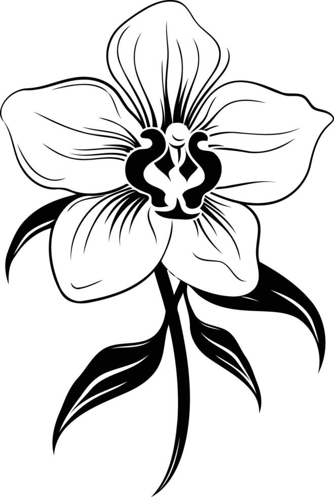 Black and white line art illustration of a delicate orchid flower vector