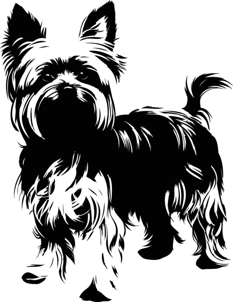 Black and white silhouette of a yorkshire terrier standing with its head turned vector