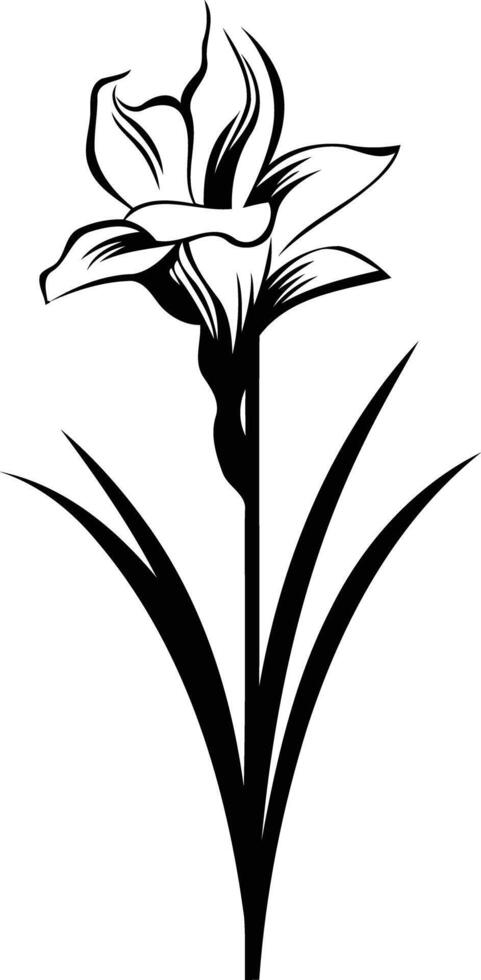 Elegant black and white silhouette of a single iris flower with leaves vector