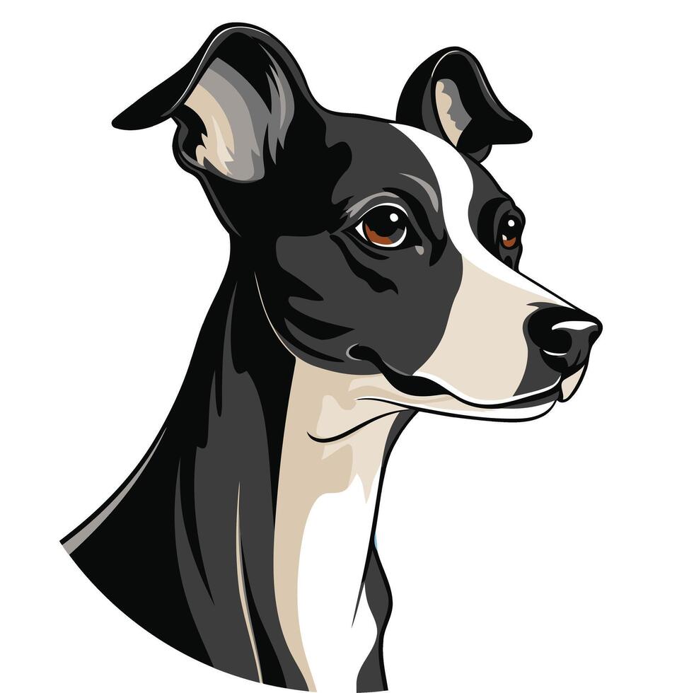 Black and White Dog Portrait vector