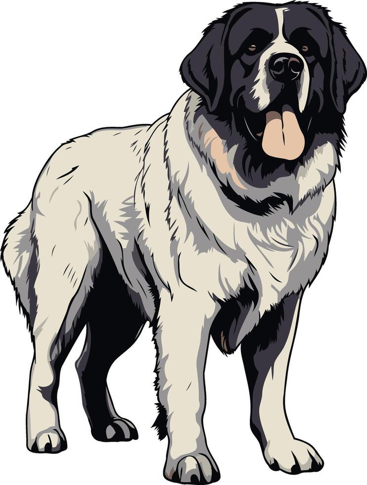 Black and White Pyrenean Mastiff vector