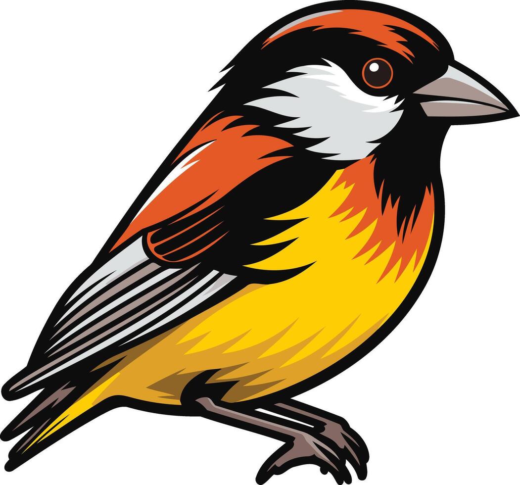 A vibrant and detailed illustration of a colorful bird, perfect for adding a touch of nature to your designs vector