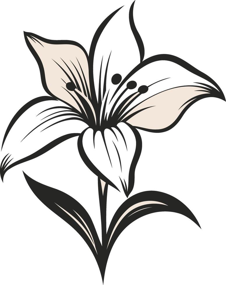 A Delicate Lily in Black and White vector