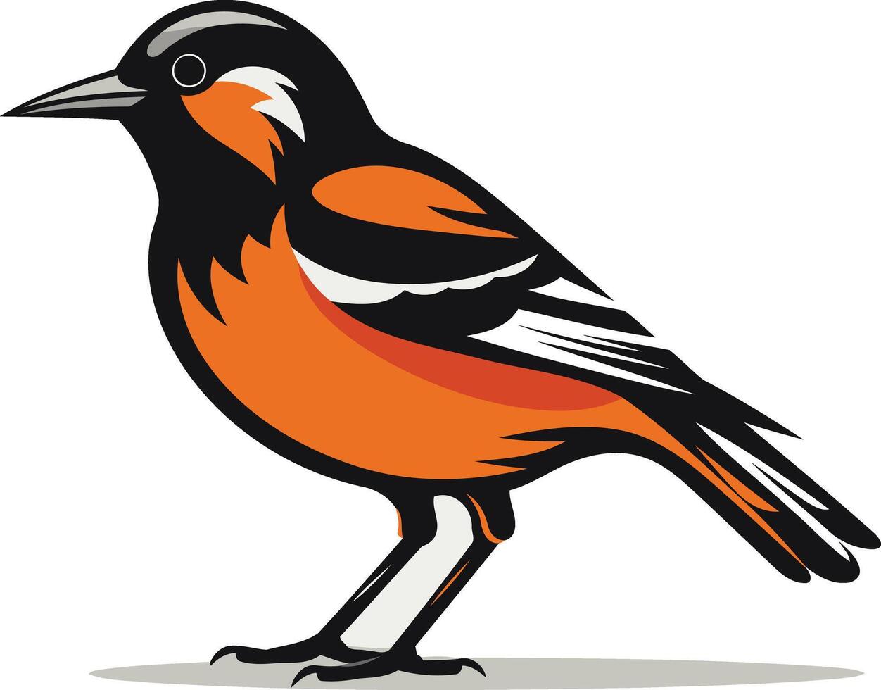 Bold and colorful illustration of an orange and black bird, perfect for wildlife, nature, or logo design vector