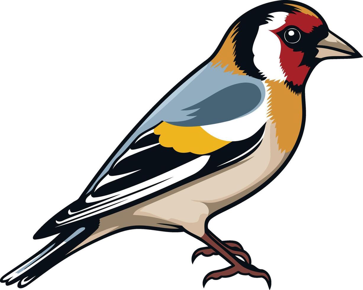 Colorful Goldfinch Bird Illustration vector