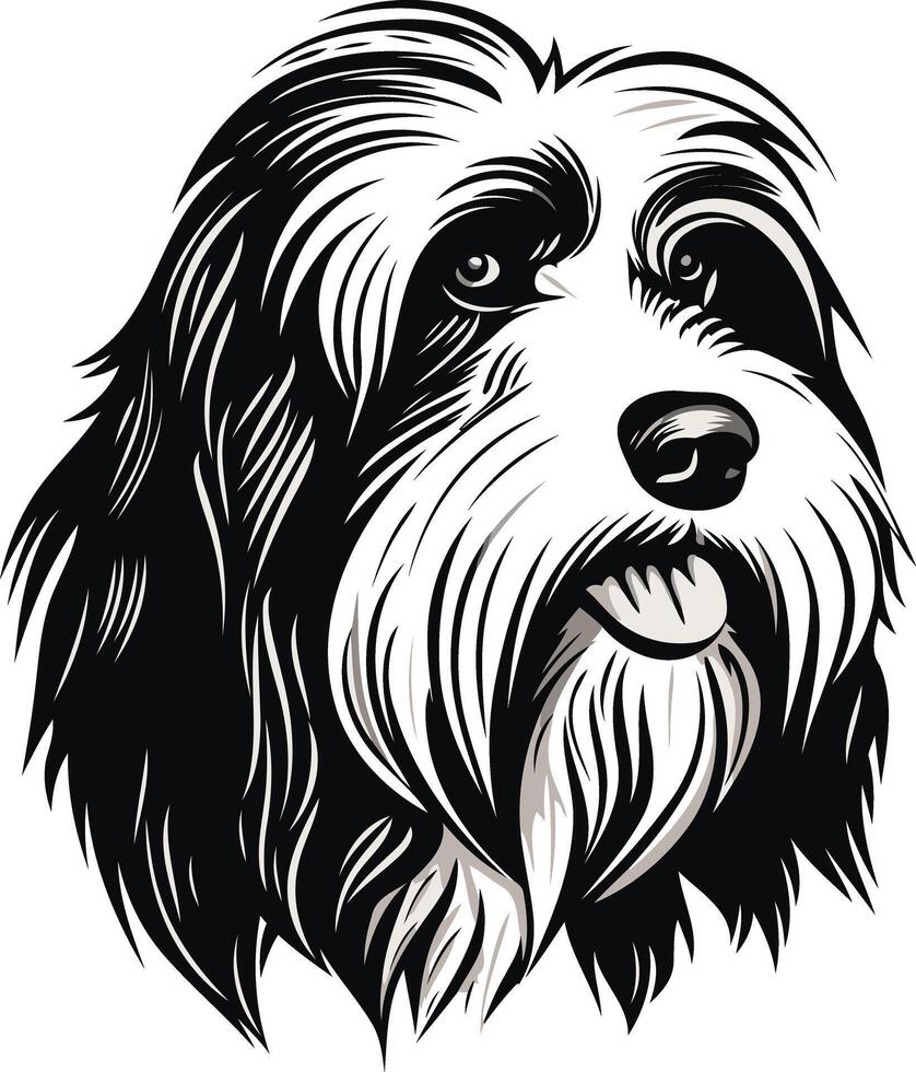 Black and White Portrait of a Bearded Collie vector