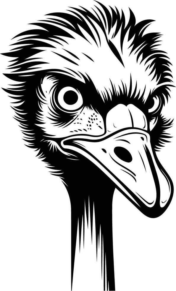 A powerful black and white illustration of an ostrich head, capturing the bird's intensity and unique features vector