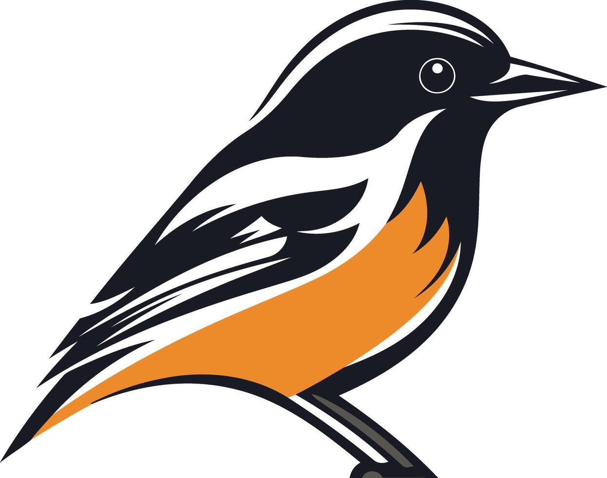 A bold, stylized illustration of a bird with black, white, and orange plumage vector