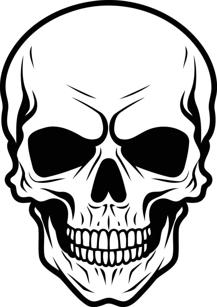 A detailed black and white illustration of a human skull, perfect for halloween, pirate, or gothic themed designs vector
