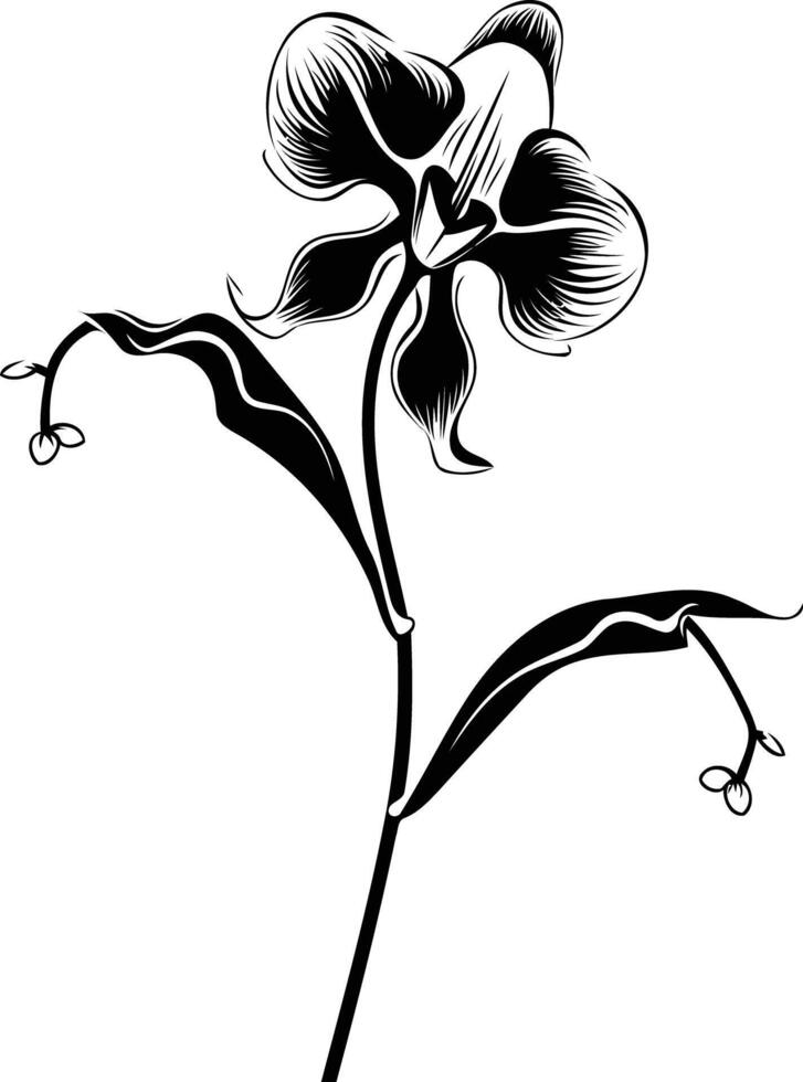 Elegant black and white silhouette of a single orchid flower with stem and leaves vector