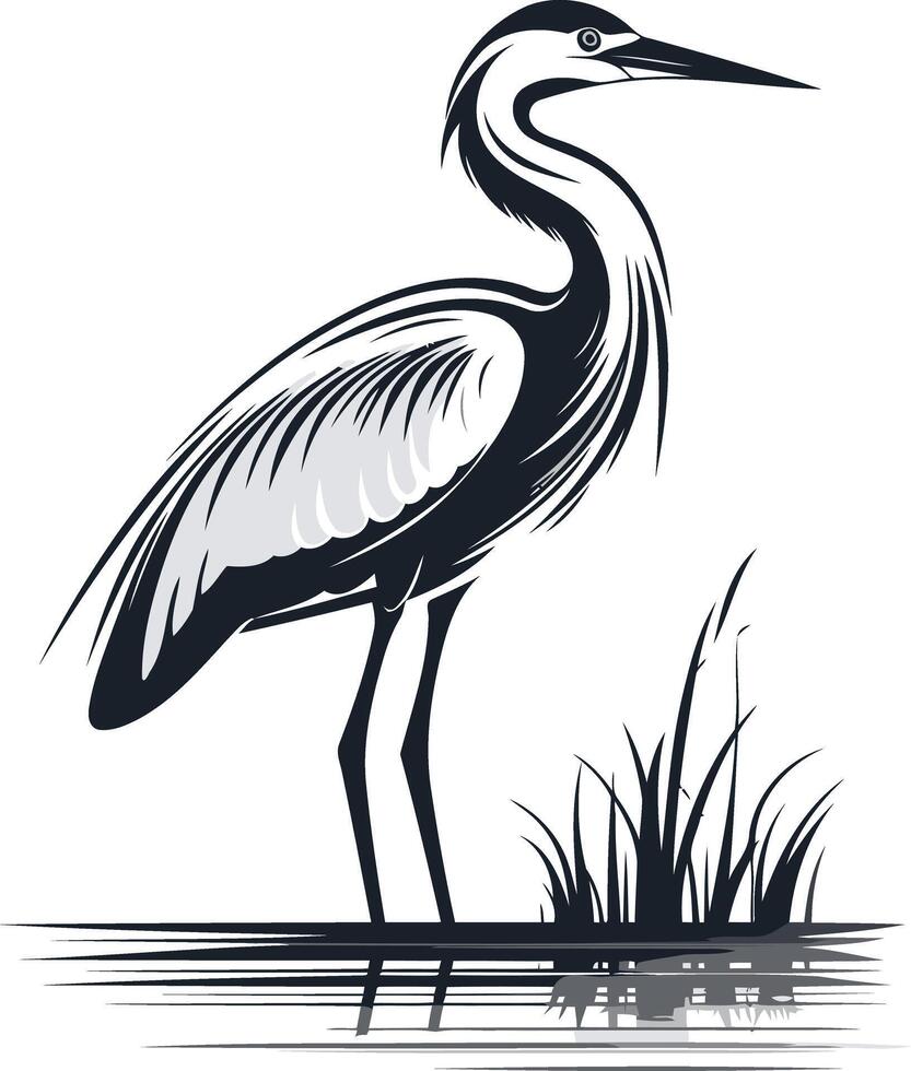 Elegant Heron Standing in Water vector