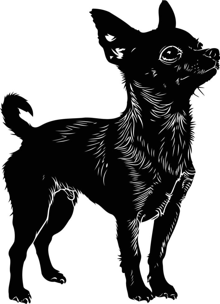 A striking black silhouette of a chihuahua standing tall and looking up vector