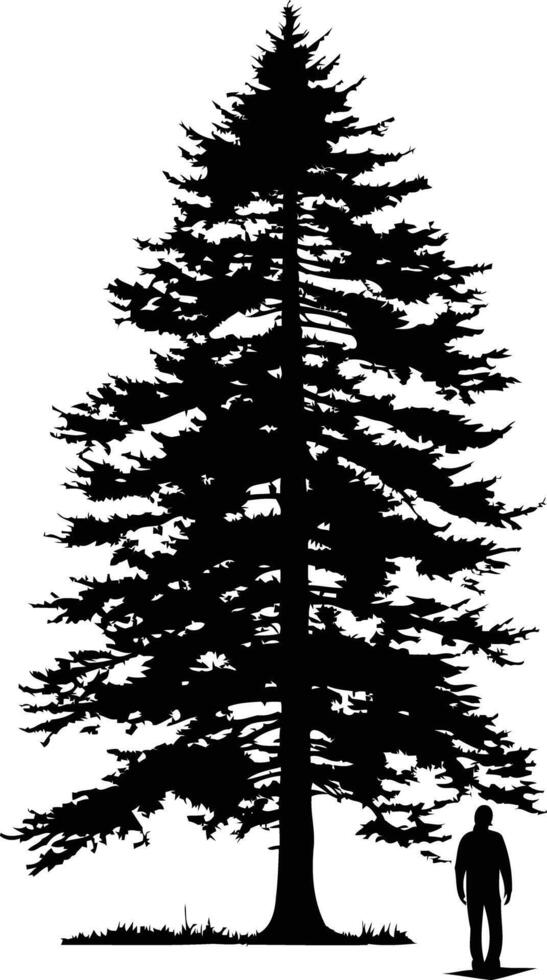 A solitary figure stands in awe beneath a towering pine tree, its branches reaching towards the sky vector