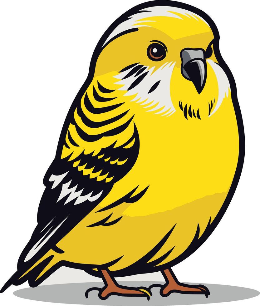A Yellow Budgie Illustration vector