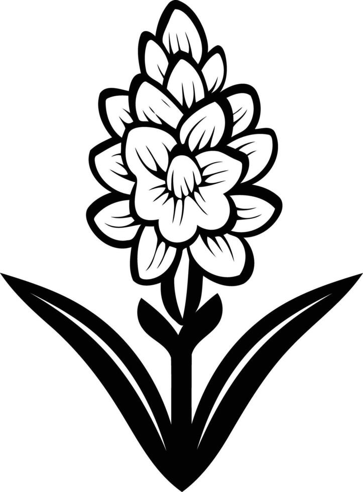 Elegant black and white illustration of a hyacinth flower, perfect for botanical prints, branding, or floral design projects vector