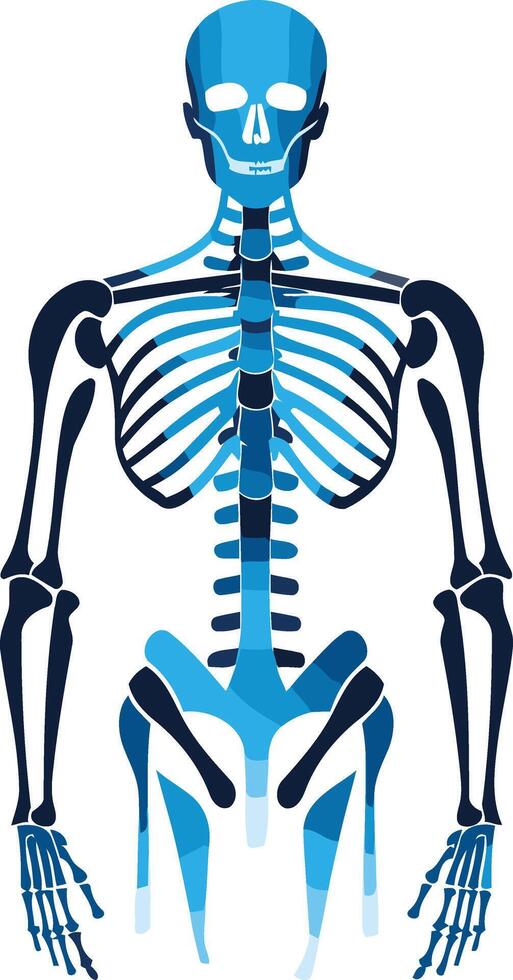 Blue Skeleton with Geometric Design vector