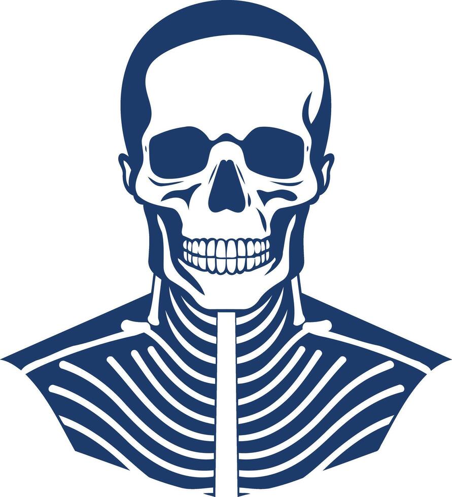 Blue Skull and Ribcage Illustration vector