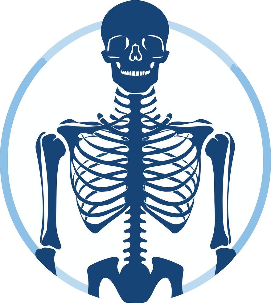Blue Skeleton Illustration in a Circle vector