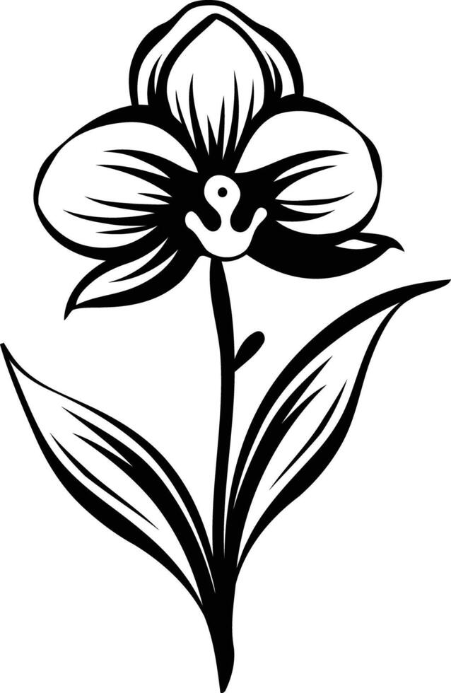 Elegant black and white illustration of an orchid flower, perfect for branding, invitations, and botanical designs vector