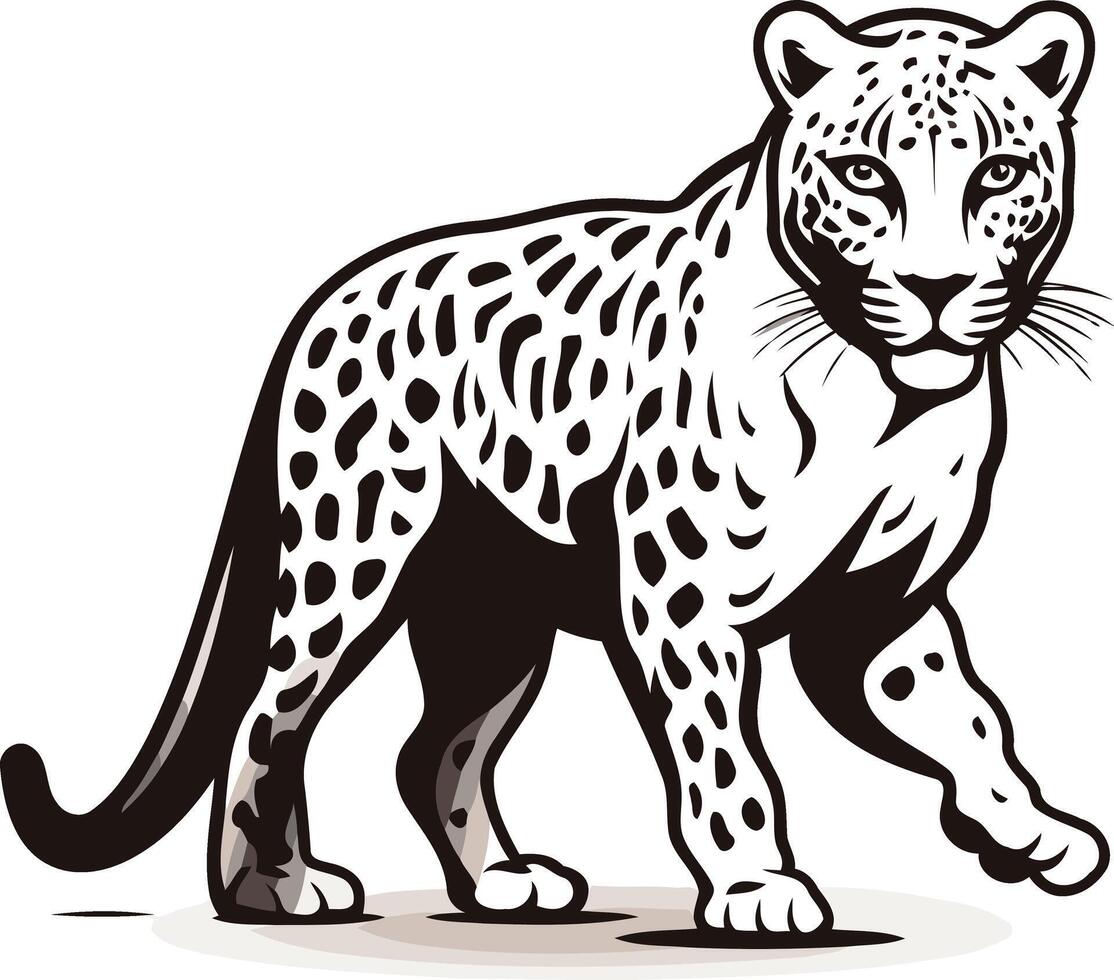 Black and White Illustration of a Leopard vector