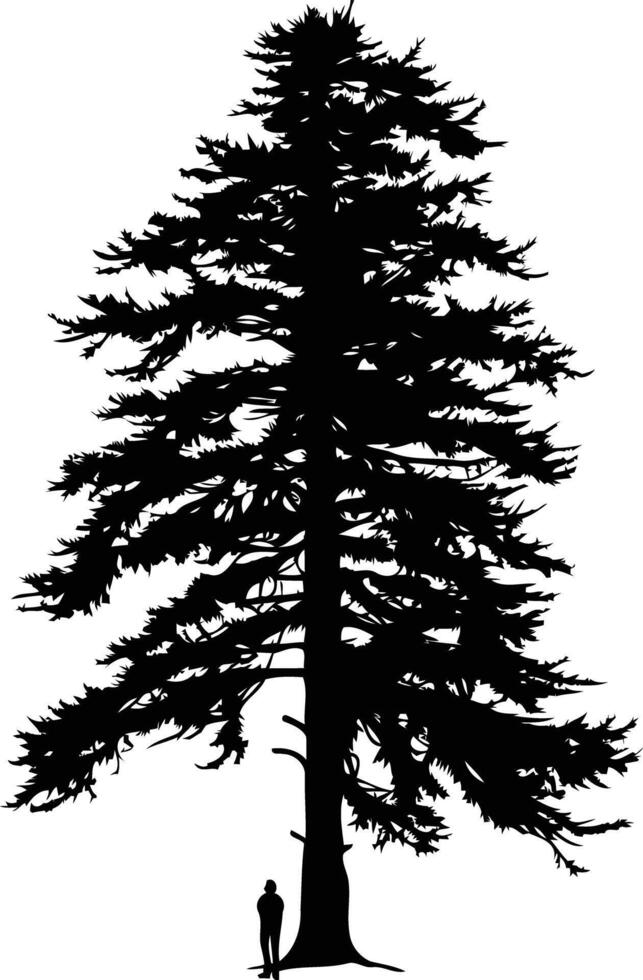 Silhouette of a tall evergreen tree with a single person standing in front of it vector
