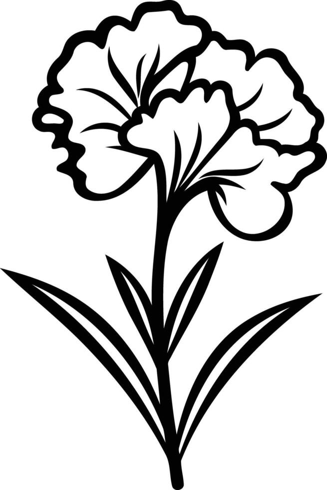 Simple line art illustration of a carnation flower, perfect for coloring pages, greeting cards, and craft projects vector