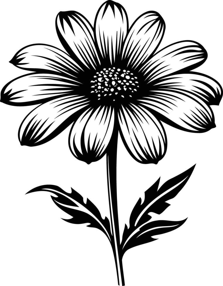 A classic black and white illustration of a single daisy with delicate petals and leaves vector