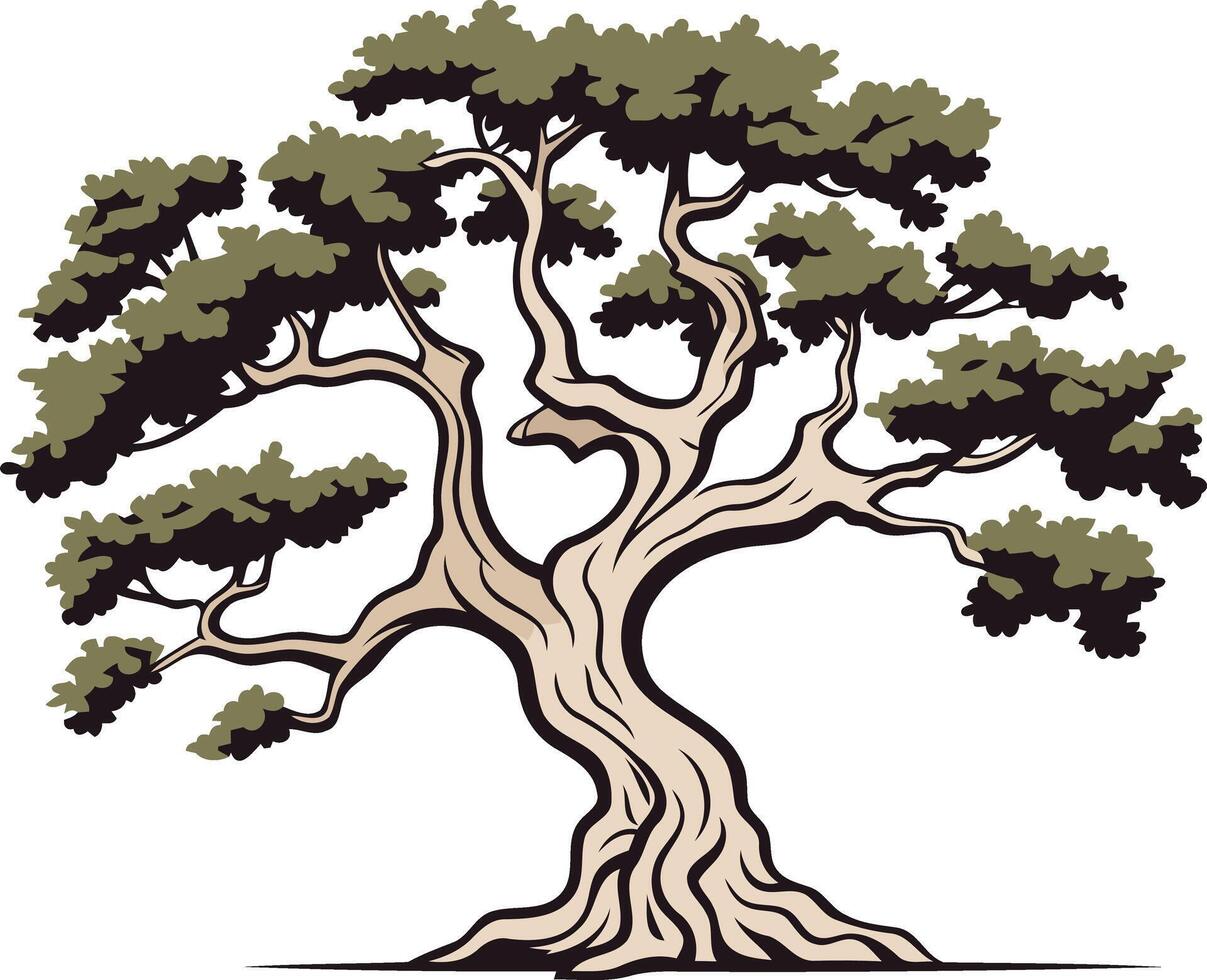 Ancient Tree Illustration vector