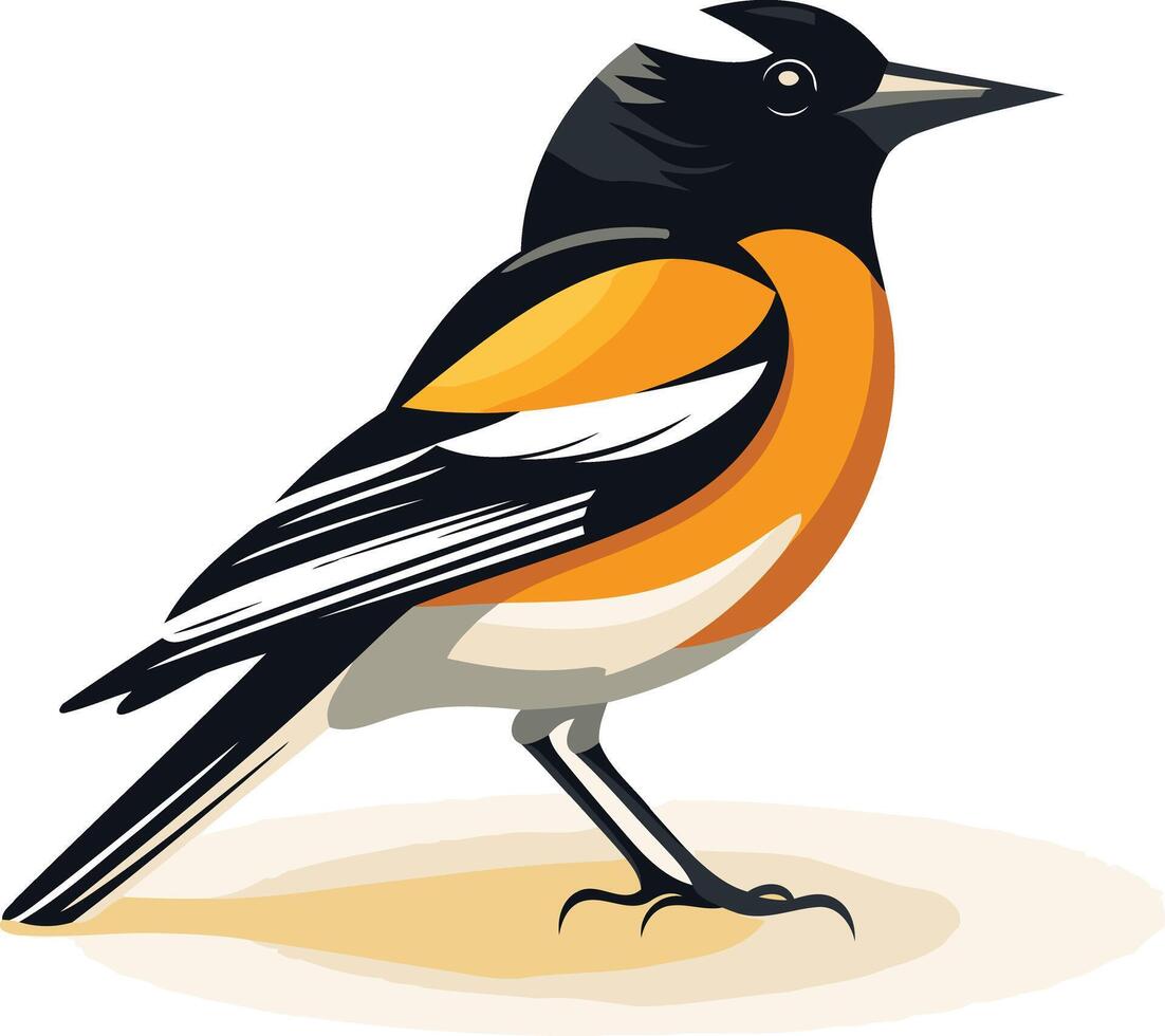 Illustration of a Bird with Orange and Black Feathers vector
