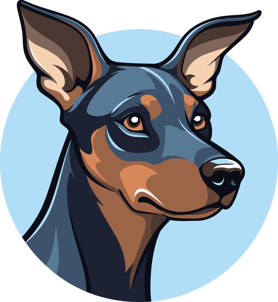A striking illustration of a doberman pinscher, featuring a close-up portrait of its head vector