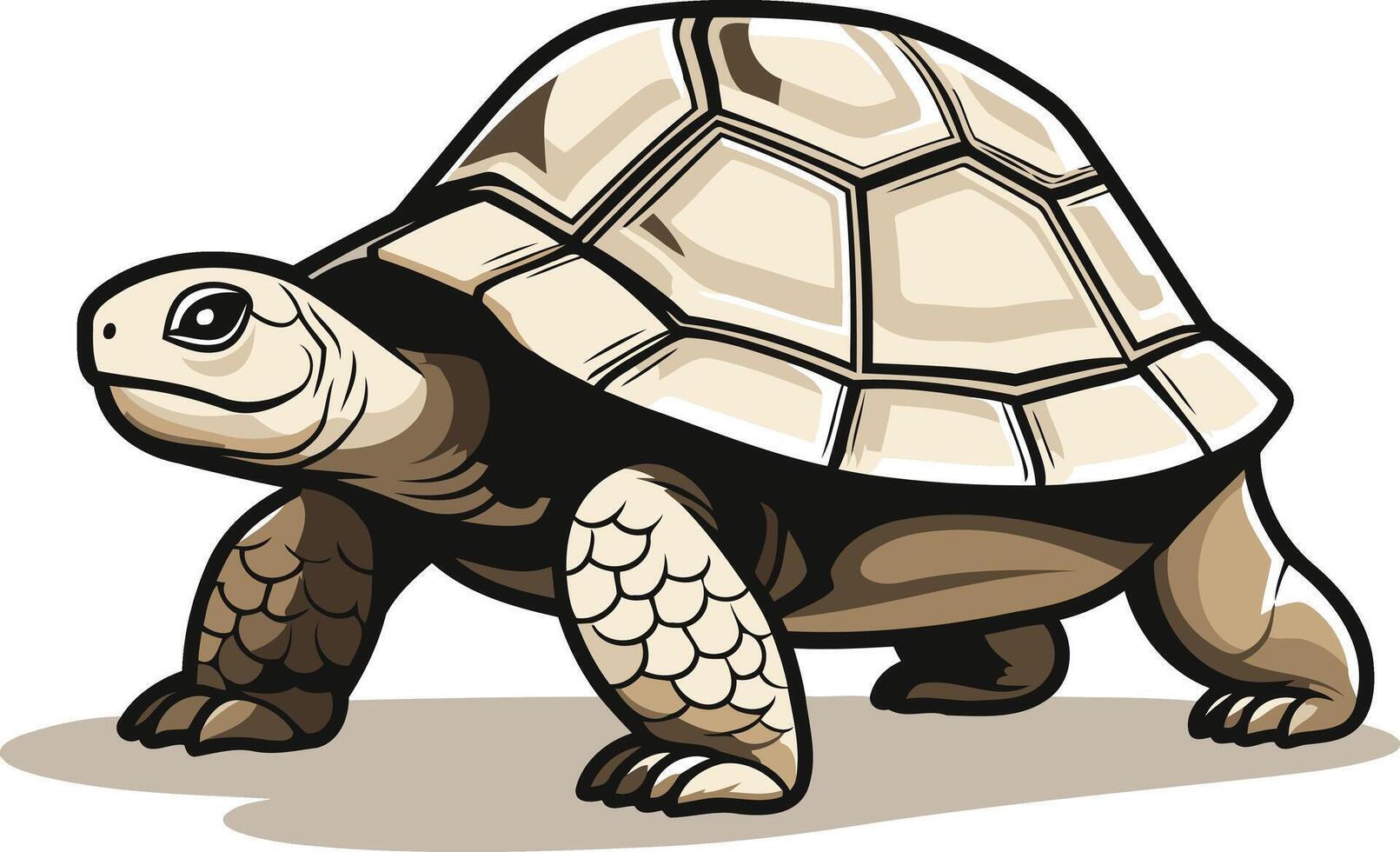Cartoon Illustration of a Turtle vector
