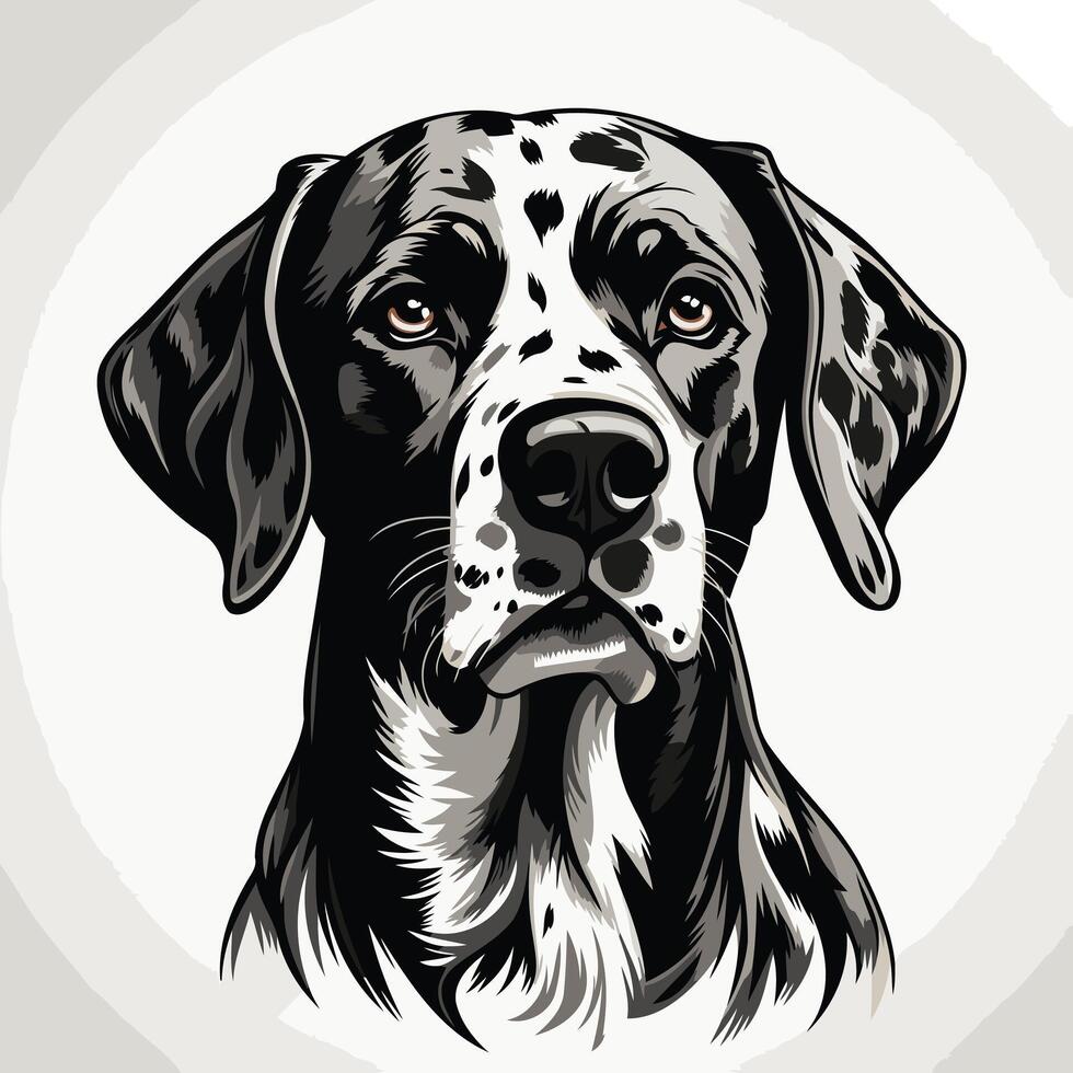 A detailed black and white illustration of a dalmatian dog's head, captured in a classic, almost portrait-like pose vector