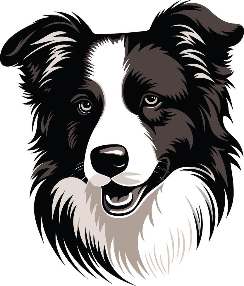 A striking black and white illustration of a border collie's head, showcasing its intelligent and alert expression vector