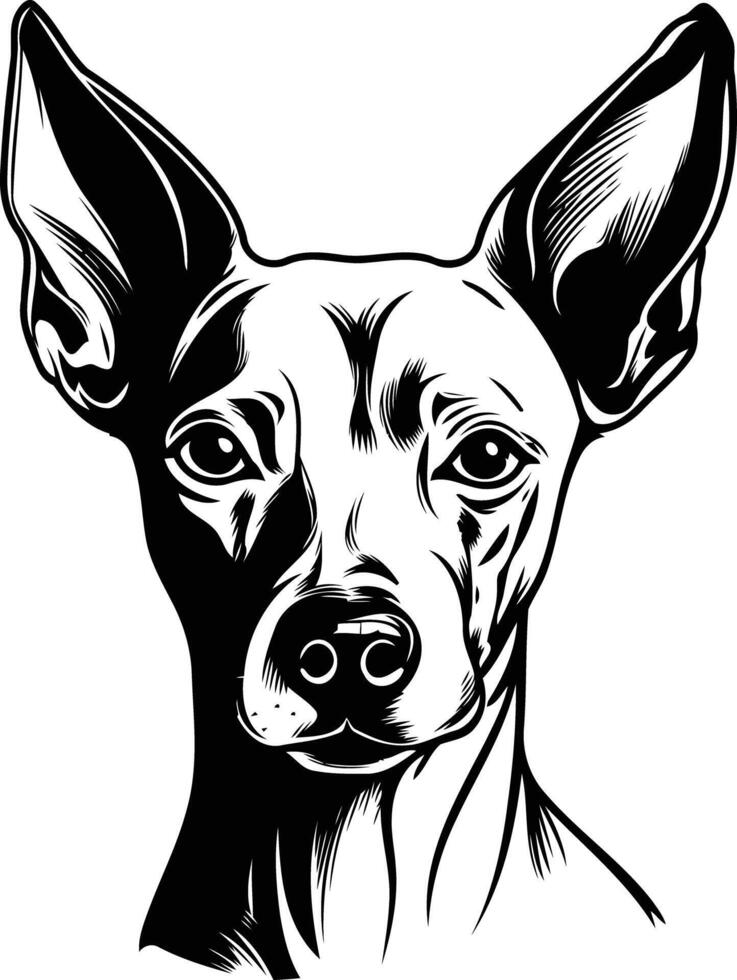 A striking black and white illustration of a dog's head, perfect for creating captivating designs for dog lovers vector