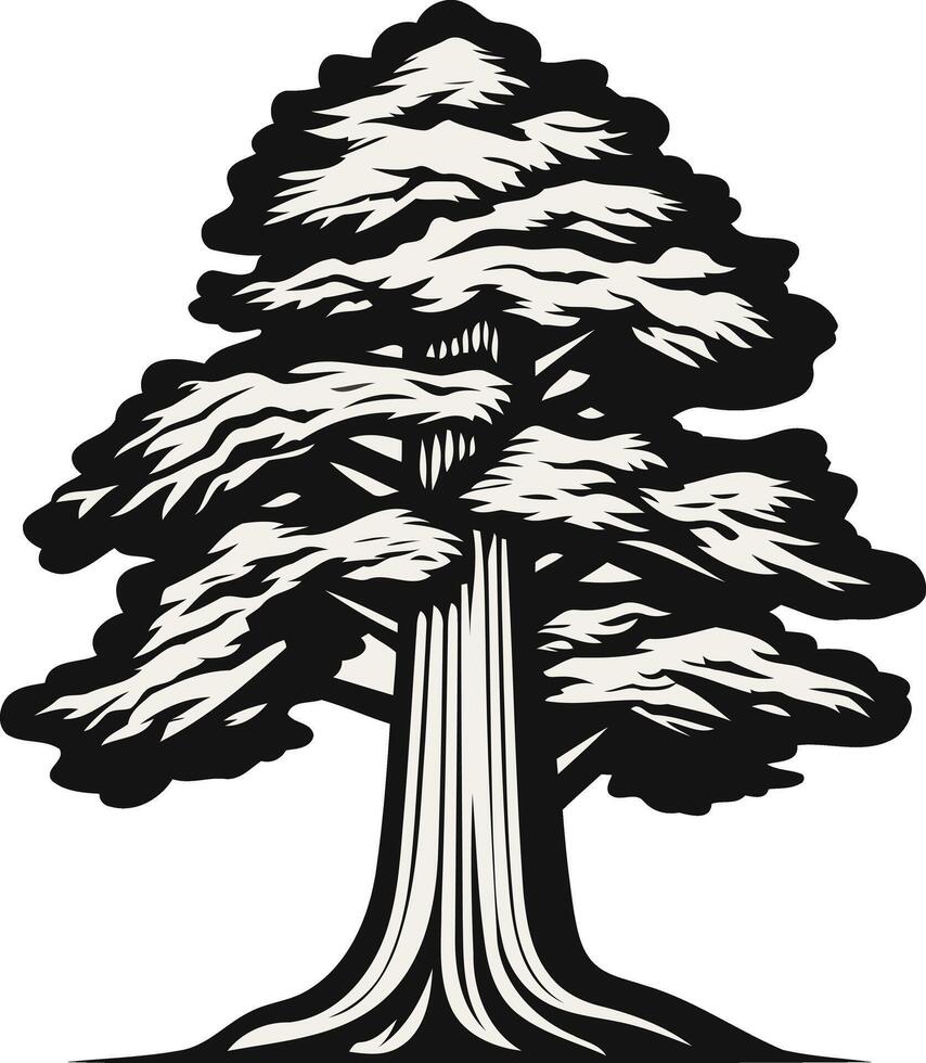 A bold, black and white illustration of a towering redwood tree vector