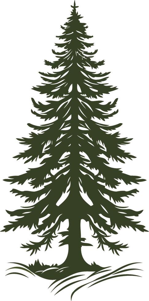 Silhouette of a Tall Evergreen Tree vector