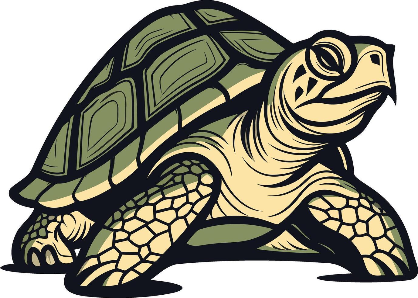 Cartoon Illustration of a Walking Turtle vector