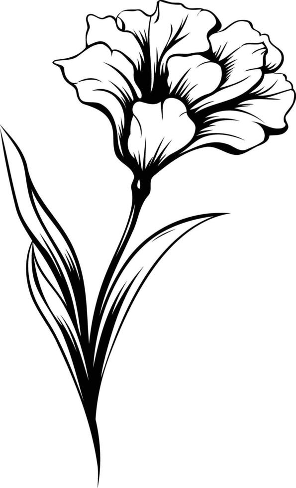 Elegant black and white line art illustration of a single flower with leaves vector