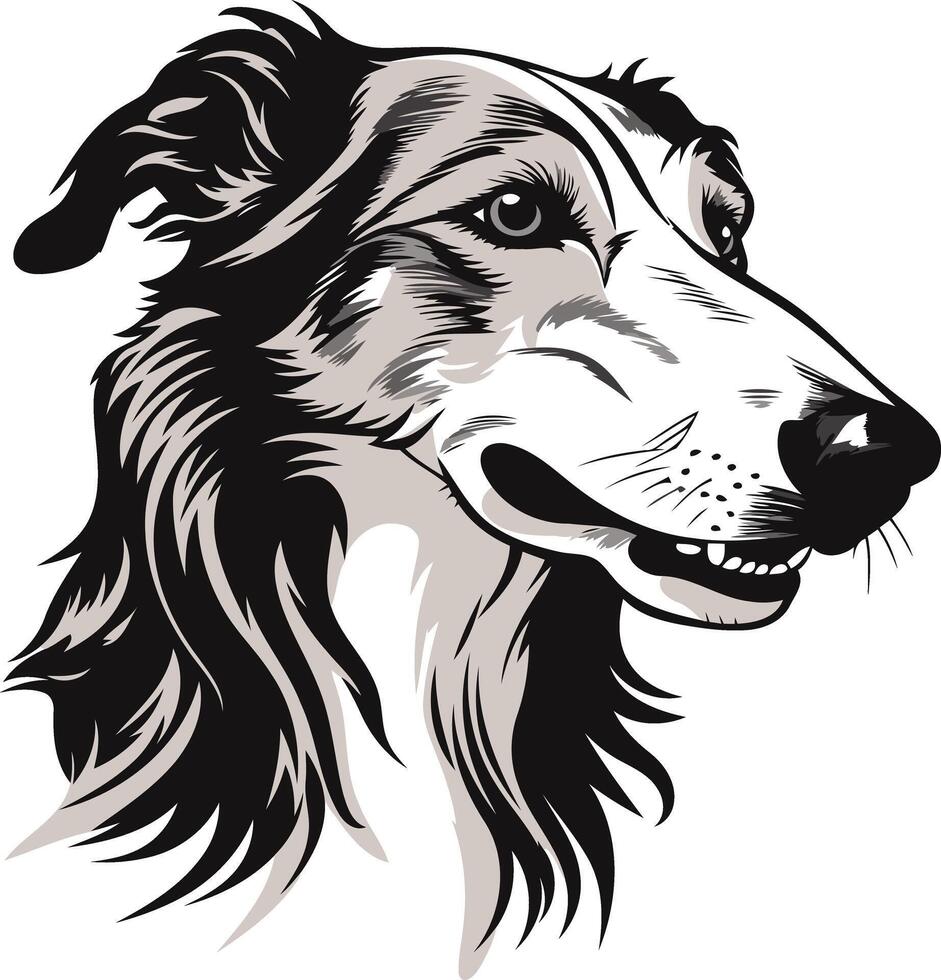 Elegant Black and White Dog Portrait vector