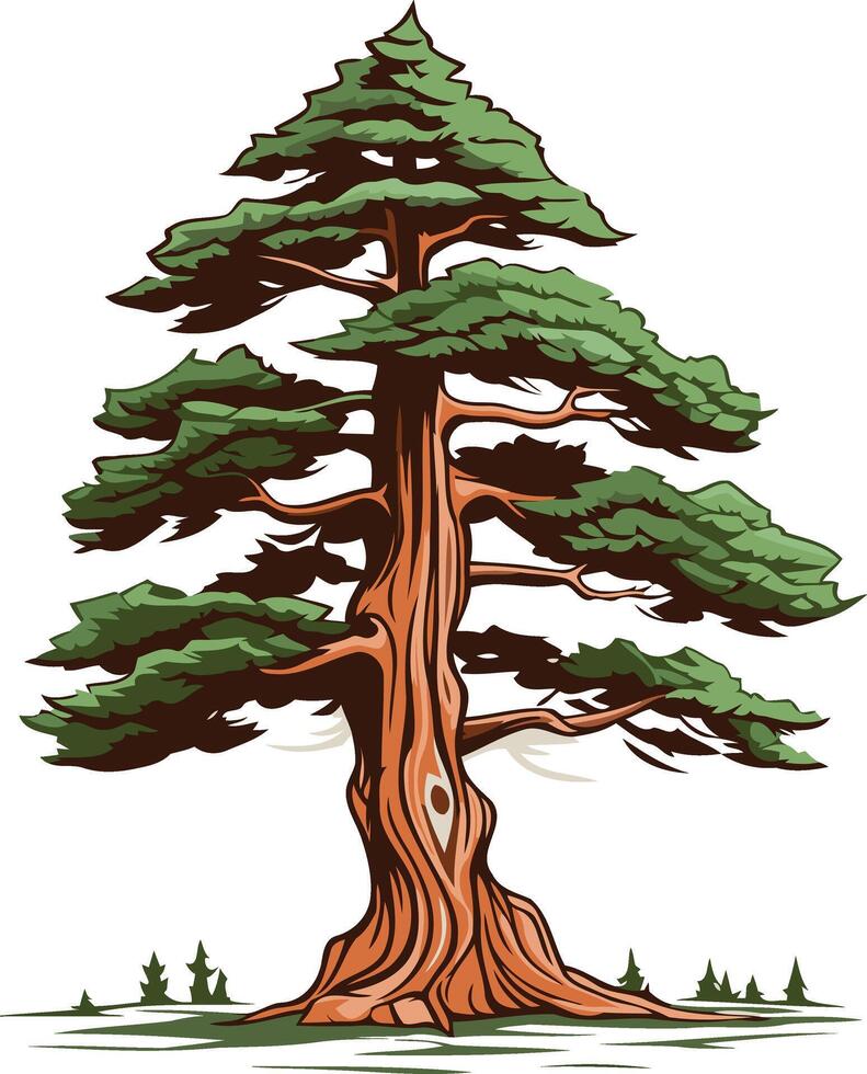 Tall Evergreen Tree with a Thick Trunk vector