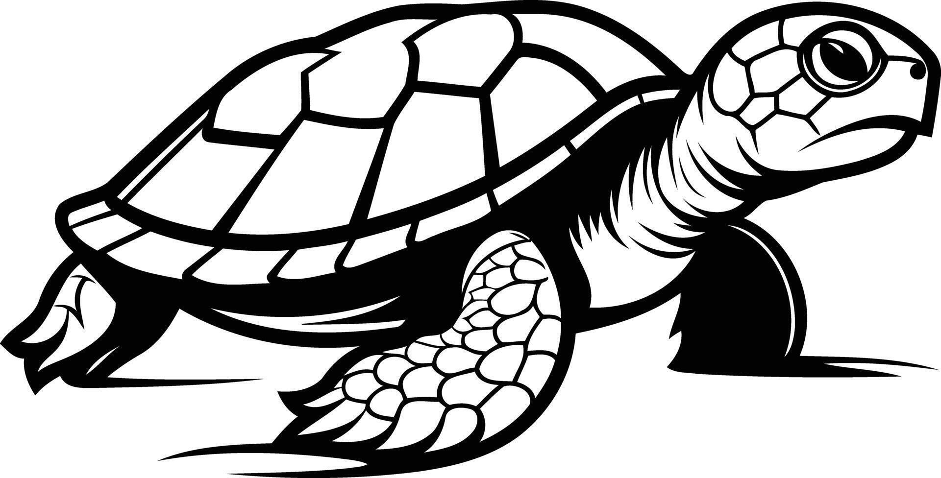 A simple, clean, and bold line art illustration of a sea turtle walking vector