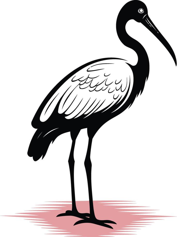 A black and white illustration of a graceful ibis bird standing with its legs slightly spread vector