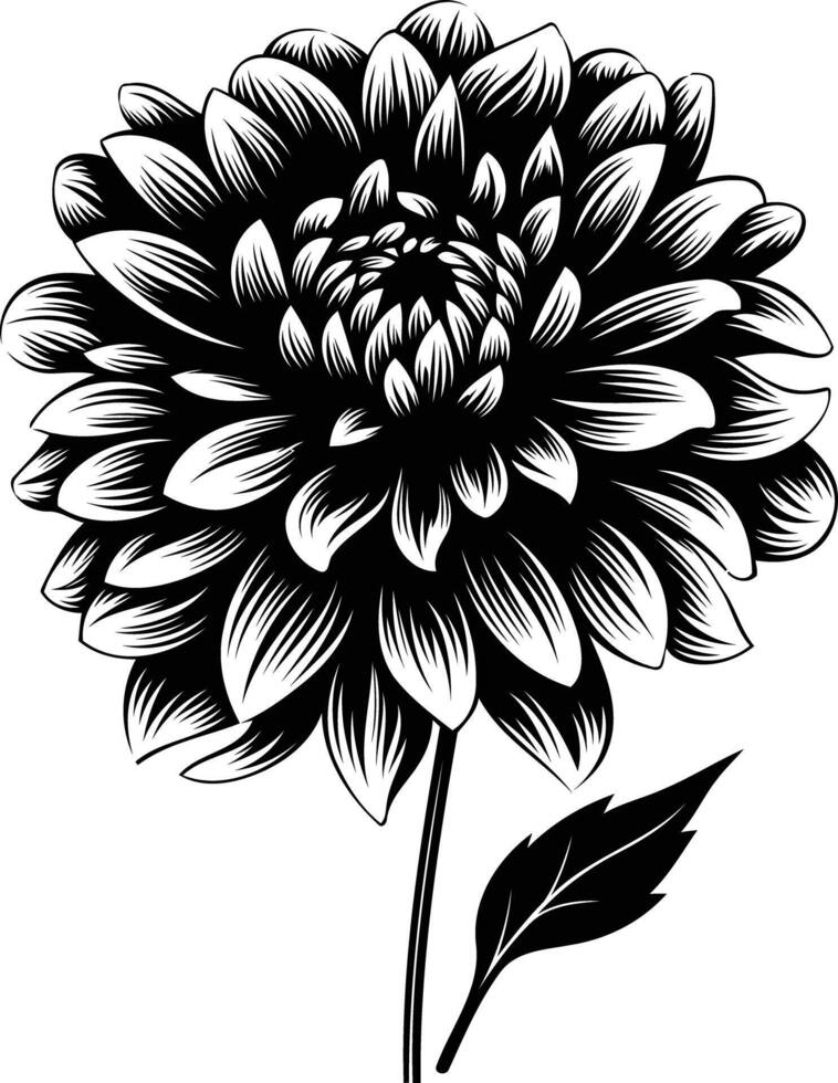 Elegant black and white silhouette of a single dahlia flower vector