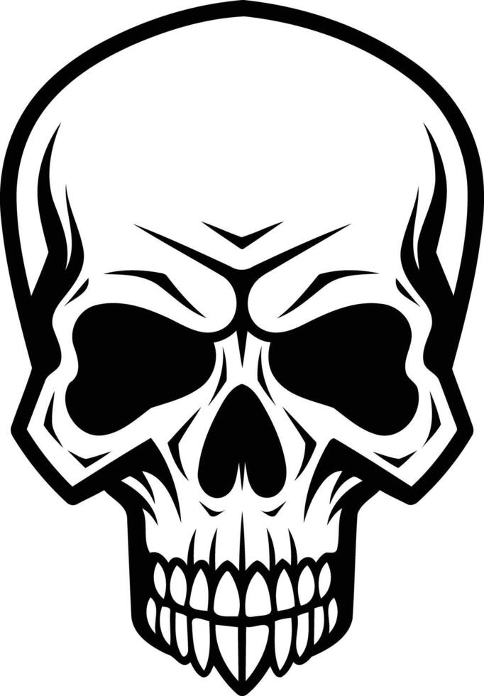 A detailed black and white illustration of a human skull vector