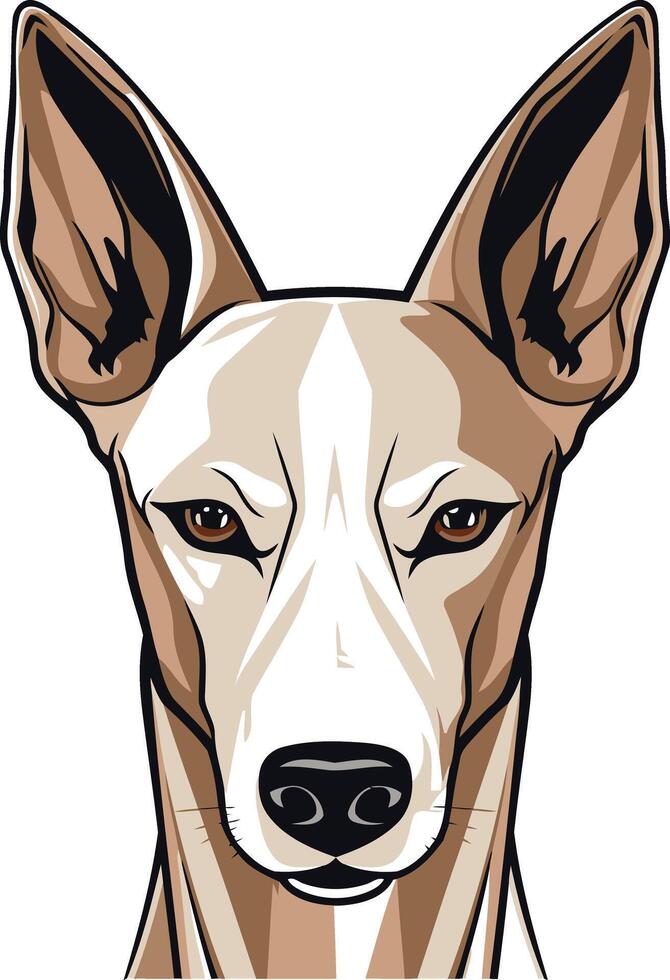 Close-up portrait of a ibizan hound, with a sharp, intelligent gaze and alert ears vector